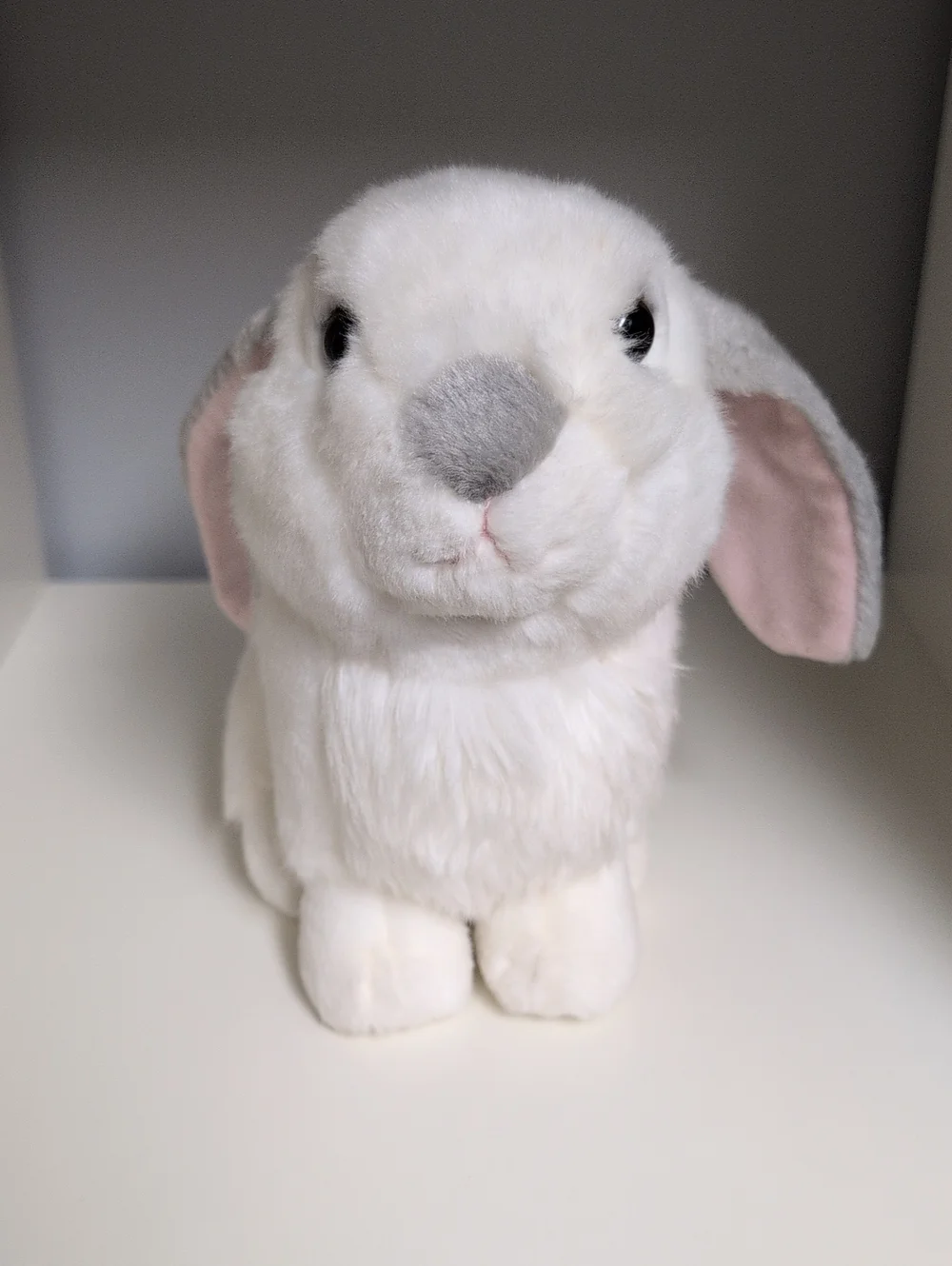 Aurora Miyoni Grey And White Lop Rabbit 8" Plush Collectible Bunny Floppy Ears - Picture 4 of 6